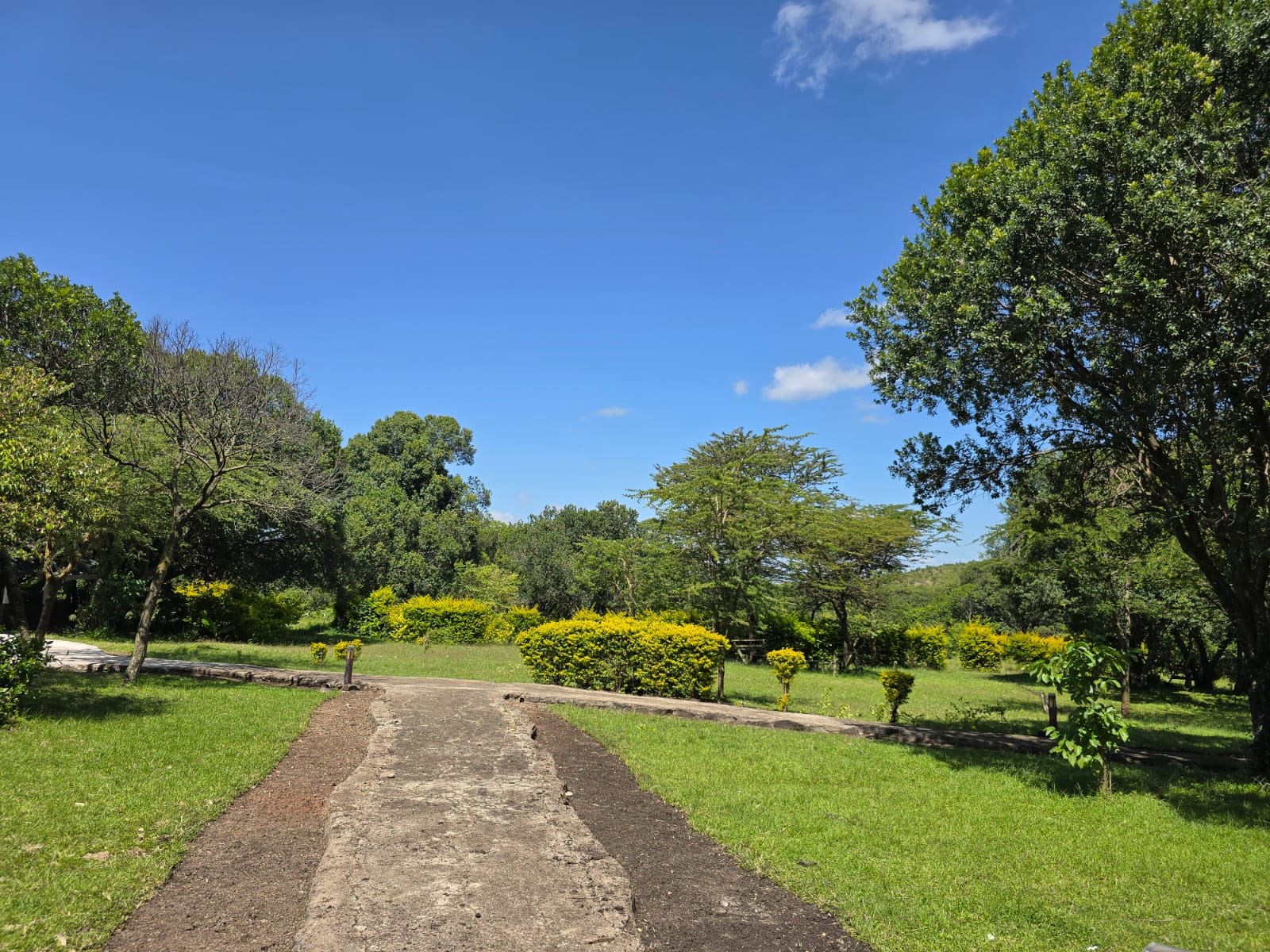 Camp Overview